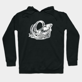 Babirusa Skull Hoodie